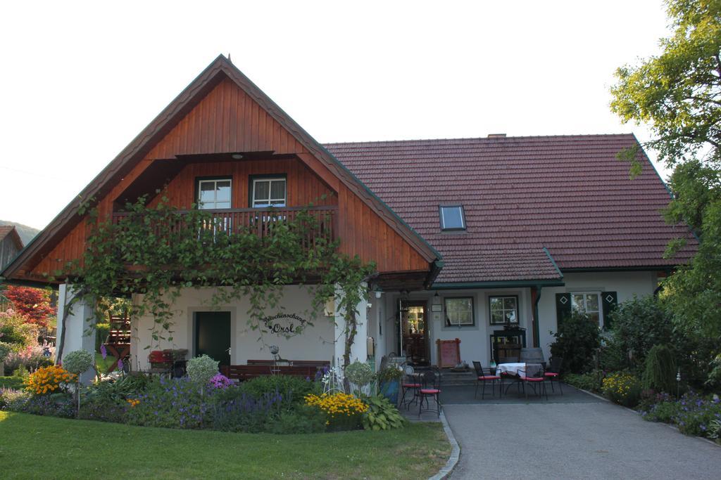Buschenschank Orsl Wildbach المظهر الخارجي الصورة